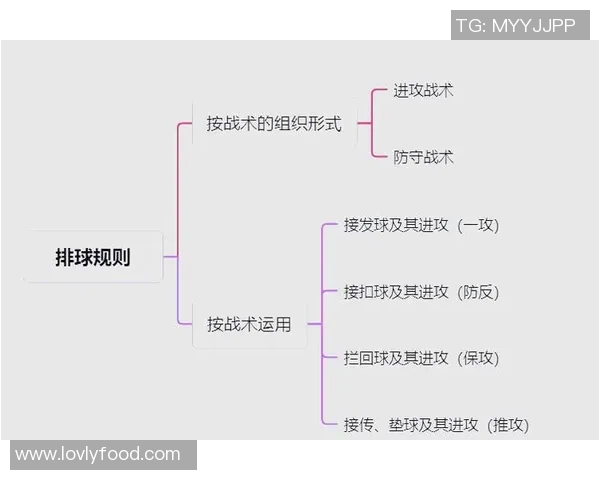 深圳排球队整体压制战术解析与实战应用探讨