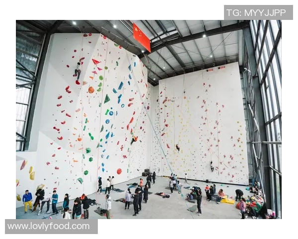 西安攀岩队实现历史性突破攀岩意识排名创新高引发关注